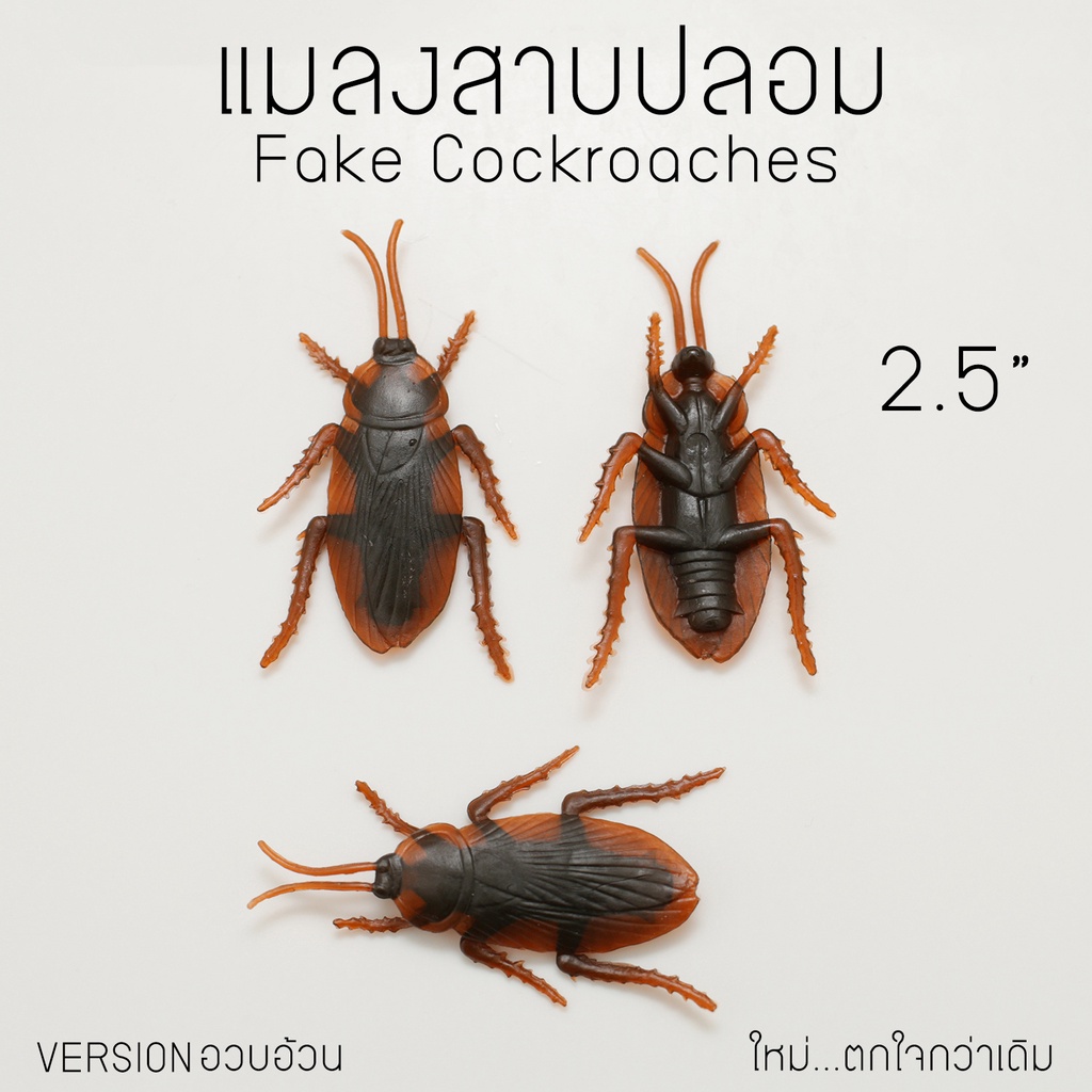 [ตรงปก มีขนขา]  ตรงตามรูป แมลงสาบปลอม มีขนขา แมลงสาบแกล้งเพื่อน เหมือนจริงมาก แบบตัวอวบอ้วน ขนาด 2.5"