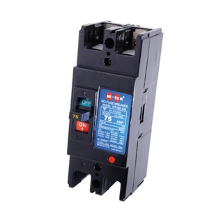 HI-TEK เซอร์กิตเบรคเกอร์เฟรมใหญ่ 2สาย HT100