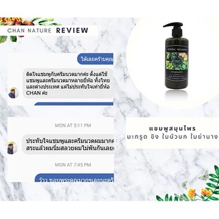 CHAN NATURE แชมพูสมุนไพรสด มะกรูด ขิง ใบบัวบก ใบย่านาง ลดผมร่วง คัน กระตุ้นผมงอกใหม่ ชะลอผมหงอก 300ml
