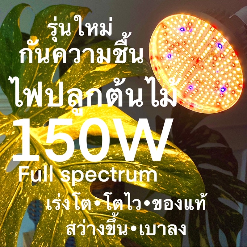 ไฟปลูกต้นไม้ปลูกกัญชา สีwarm รุ่นกันความชื้น  (พร้อมส่ง) 150W (สว่างมาก)Led Grow Light E27 (Full spe