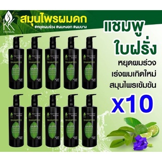 แชมพูสมุนไพรผมดก 10 ขวด ขนาด 300 ml.ลดผมร่วง เร่งผมเกิดใหม่