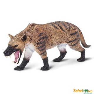 Safari Ltd : SFR100126 โมเดล Hyaneodon Gigas