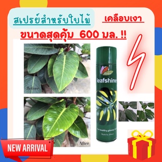 สเปรย์เคลือบทำความสะอาดใบไม้ เงางาม ใบมัน 600 ml. ปลอดภัยเคลือบใบไม้ให้ดูสะอาดและใหม่อยู่เสมอ