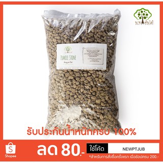 หินภูเขาไฟ Pumice Stone บิ๊กแพ็ค 2 ลิตร