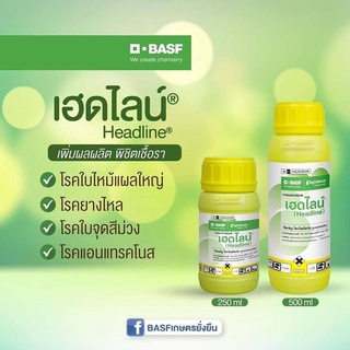 ยกลัง เฮดไลน์ ขนาด 250 ซีซี 24 ขวด