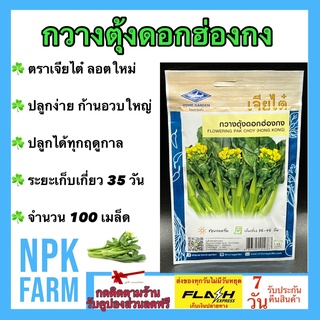 ผักซอง เจียไต๋ กวางตุ้งดอกฮ่องกง จำนวน 100 เมล็ด เมล็ดพันธุ์ กวางตุ้งดอก  ลอตใหม่ งอกดี ก้านอวบใหญ่ ปลูกได้ทุกฤดูกาล