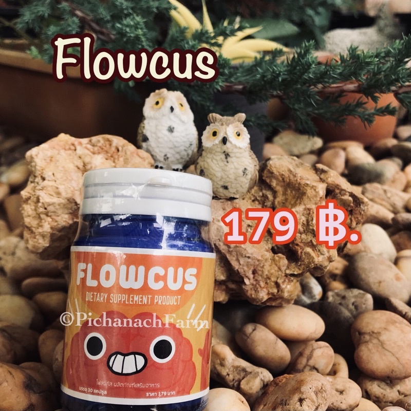 Flowcus ถูกที่สุด พร้อมโปรโมชั่น พ.ย. 2022|BigGoเช็คราคาง่ายๆ