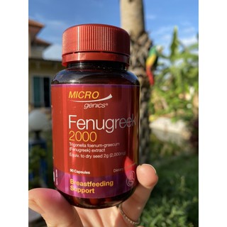 ร้านคนไทย🇹🇭 พร้อมส่ง!! ของแท้ 100% ลูกซัดเพิ่มน้ำนม จากออสเตรเลีย Microgenics Fenugreek 2000