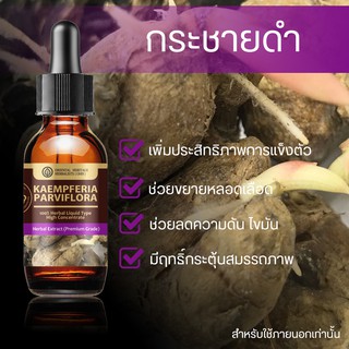 กระชายดำ Kaempferia Parviflora Black Extracted (High Concentration) สารสกัดกระชายดำ เข้มข้นสูง ชนิดน้ำ ขนาด 20 มล.