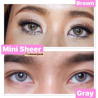 👑Mini Sheer Brown/Gray👑สายตาปกติถึง-5.00,-5.50,-6.00,-6.50(kitty kawaii)