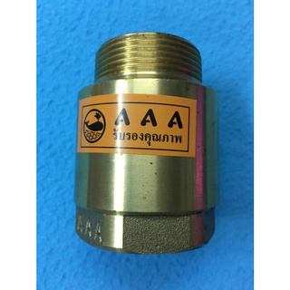 เช็ควาล์วทองเหลือง ½”  AAA (T645L) เกลียวนอก 1 ข้าง เกลียวใน 1 ข้าง