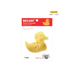 ฟองน้ำ อนามัย ลูกไก่ Becare ลูกเจี๊ยบ natural sponge ฟองน้ำ ธรรมชาติ