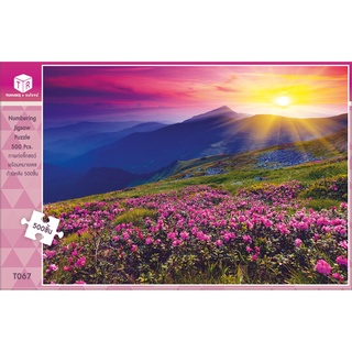 Jigsaw Puzzle ตัวต่อจิ๊กซอว์ 500 ชิ้น T067 Landscapes วิวธรรมชาติ Valley of Flowers India รูปหุบเขาแห่งดอกไม้ ประเทศอ...