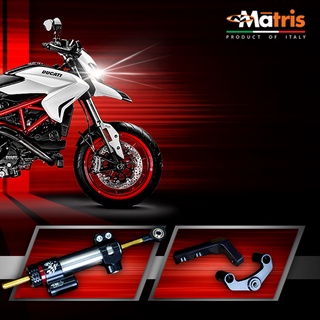 กันสะบัด Matris แบบ SDR ครบชุดพร้อมขาจับตรงรุ่น Suzuki SV650/SV650x แท้ รับประกัน 2ปี เต็ม