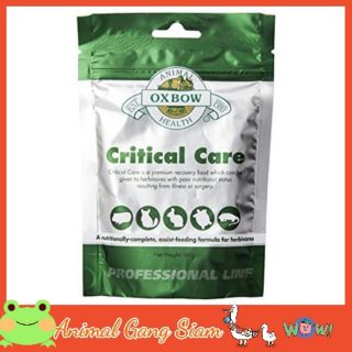 Oxbow Critical Care อาหารเสริม/ อาหารสัตว์ป่วย ฟื้นฟูร่างกาย (141 g)