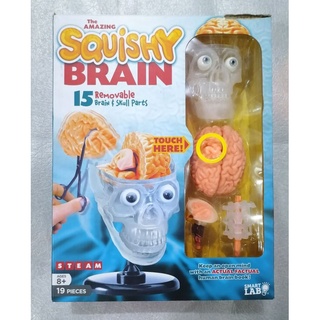 The​ Amazing​ Squishy Brain.