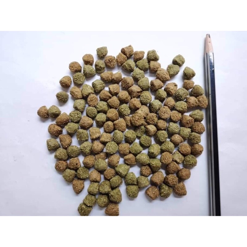 Ganzhu-Pro กันชูโปร (แบบกระสอบ 10 Kg)🐢 อาหารเต่าบก