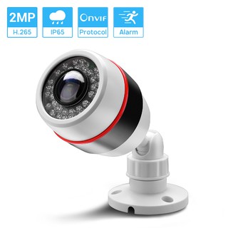 Hamrolte Panoramic 1080P IP Camera Outdoor Onvif IP Camera 5MP 1.7mm Fisheye Wide Angle CCTV Camera