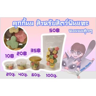 ขนมคุ๊กกี้นม สำหรับสัตว์ฟันแทะ