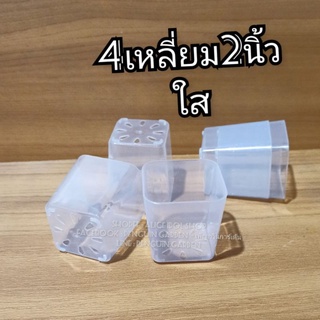 (ส่งจากกรุงเทพ) 4เหลี่ยม ขนาด 2 นิ้ว กระถางพลาสติก  กระถางกระบองเพชร กระถางแคตตัส มีพาสเทล สวย มุ้งมิ้ง