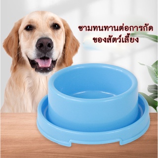 PP-115 ชามอาหารสัตว์เลี้ยง สุนัข หมา แมว กันมด กันหก ชามข้าวแมว ชามข้าวหมา หลุมเดี่ยว Plastic Pet Bowl ⭐️พร้อมส่ง⭐️