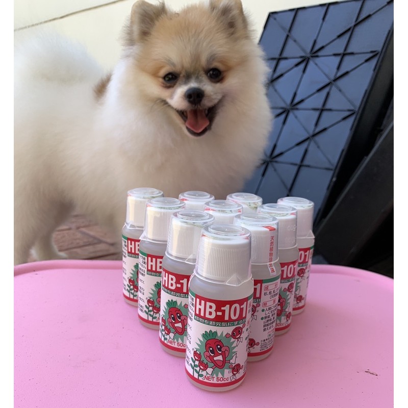 ราคาส่ง💥HB-101 ขนาด 50cc.