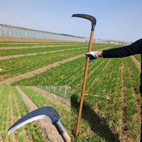 เคียวเกี่ยวหญ้า เครื่องมือการเกษตร thumbnail 9