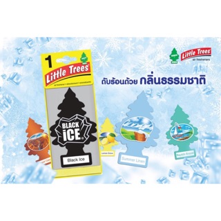 แผ่นน้ำหอม Littletrees x10แผ่น ราคาส่ง