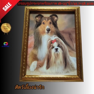 กรอบรูปกระจกขอบทอง ภาพ น้องหมาสุดน่ารัก ขนาด18×23"นิ้ว หรือ 45.72×58.42เซนติเมตร