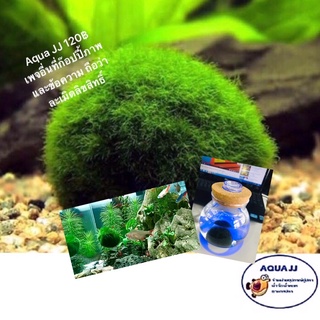 Marimo มาริโมะ สาหร่ายตกแต่งตู้ปลาแท้ 100% ขนาด 3-4 cm. ขนฟู สาหร่ายมาริโมะ มอสบอล มอส พร้อมจัดส่ง💥