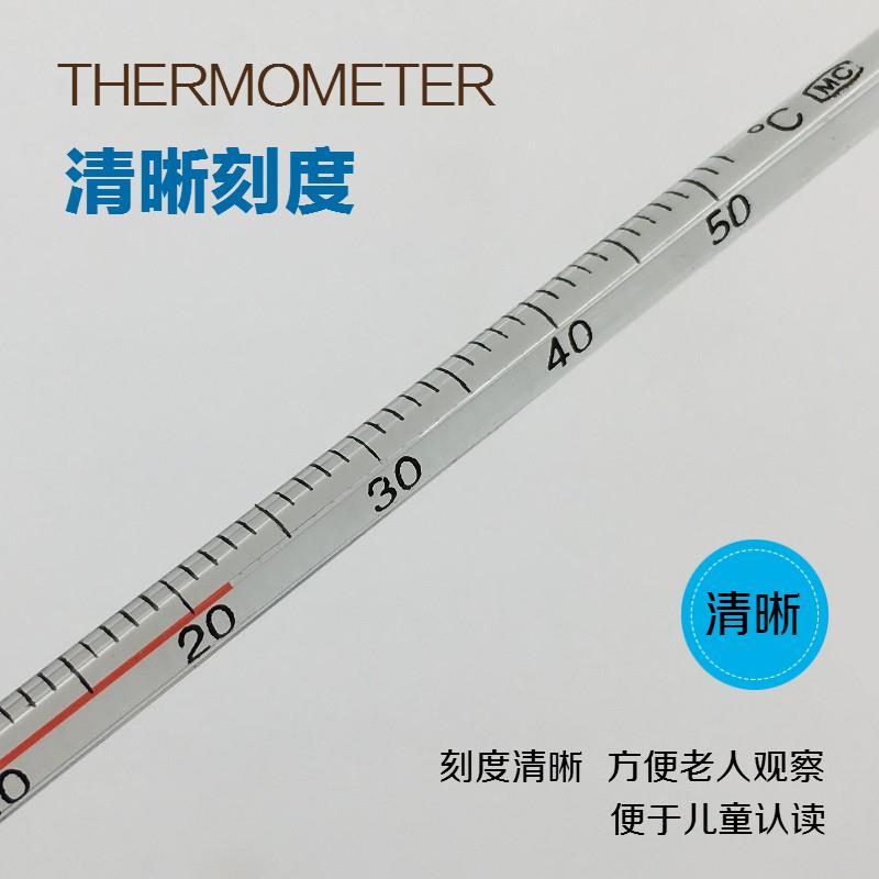 Termometer makmal