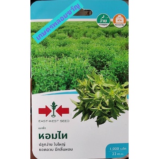 เมล็ดพันธุ์ ผักอีตู่ แมงลัก 🥗หอมไท📌 ตราศรแดง 💥บรรจุ1,000เมล็ด💢หมดอายุ 08/10/2566💢เมล็ดพันธุ์ผักสวนครัว แมงลัก เมล็ดพันธุ