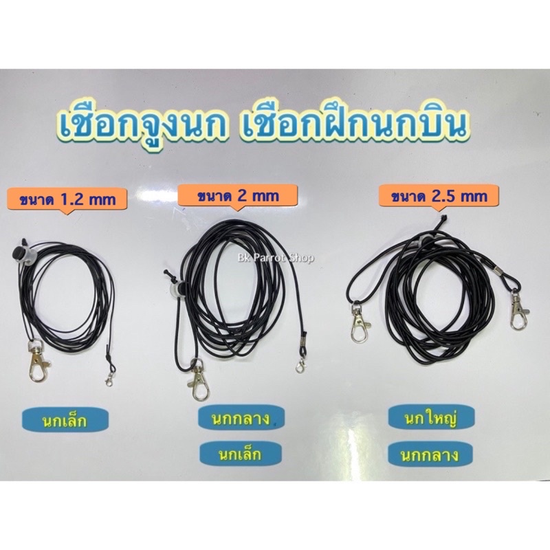 พร้อมส่ง [สินค้าไม่รวมห่วงเปิด]สายจูงนกแบบยืดหยุ่นได้ สายคล้องขานกแก้ว นกแก้ว ป้องกันนกหลุด 1-20 เมตร