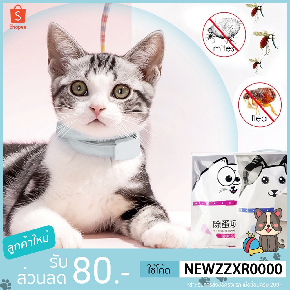 Thai.th ปลอกคอกำจัดเห็บ หมัด สุนัข และแมวปลอกคอกันเห็บ พร้อมส่ง ปอกคอกันเห็บหมา ทนนาน8เดือ LK Collor(มีราคาส่ง)