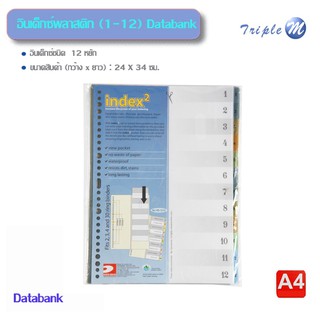 อินเด็กซ์พลาสติก (1-12) Databank VID-12 1-1