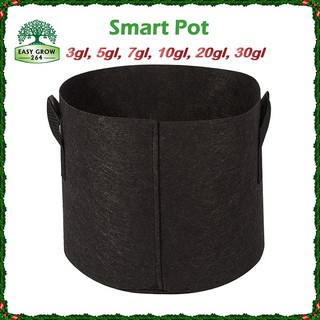 Smart Pot กระถางผ้า 1/2/3/5/7/10/20 แกลลอน  ถุงปลูกต้นไม้แบบผ้า Fabric Pot Grow Bag smartpot