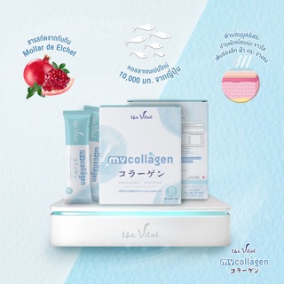 🔥คอลลาเจนเปปไทน์ 10,000 มก. ✔️My collagen✔️