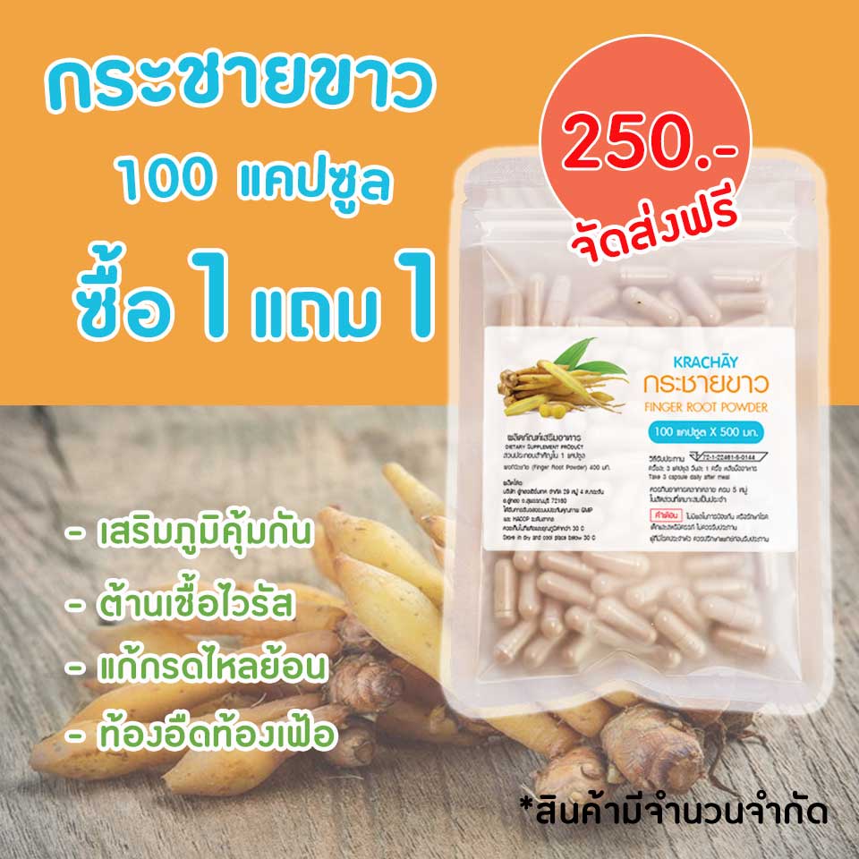 [ส่งฟรี] ⭕ กระชายขาวออร์แกนิค 100 แคปซูล ซื้อ1แถม1