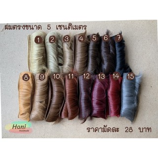 ผมตุ๊กตา ขนาด 5 เซนติเมตร พร้อมส่ง