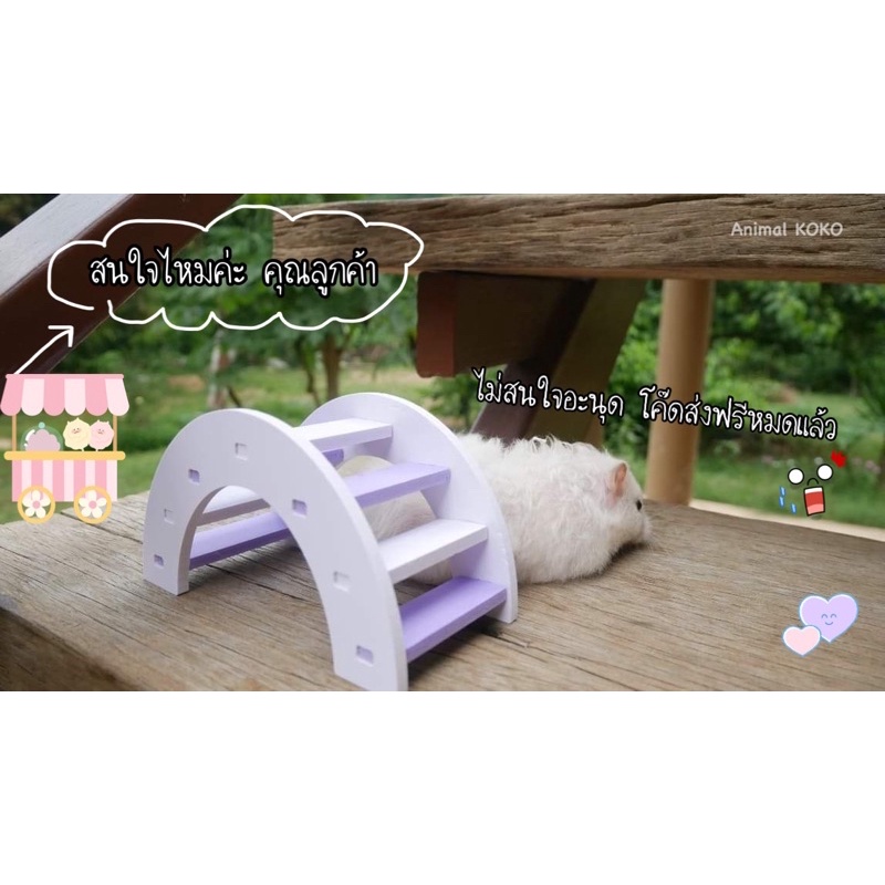 Animal KOKO สะพานโค้ง ขนาดกลาง ของ สัตว์เลี้ยง พร้อมจัดส่ง รูปที่ 4