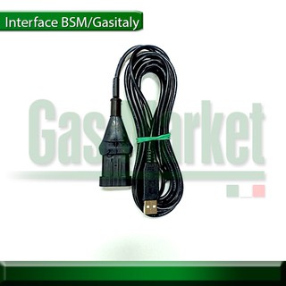 สายจูน BSM / Gasitaly F1 - USB Interface BSM / Gasitaly F1