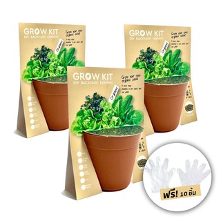 Grow kit, mix salad set ชุดปลูกผักสลัด 3 กระถาง (15 เมล็ดพันธุ์)