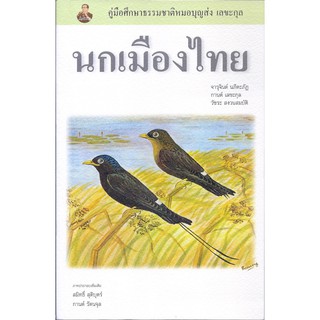 ]หนังสือนกเมืองไทย  รหัส : 9786169308508