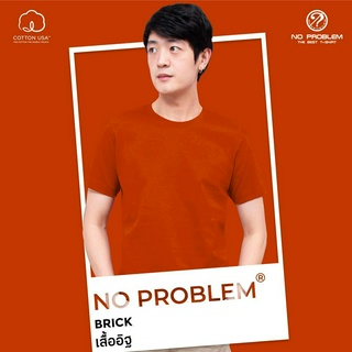 เสื้อยืดคอกลม No problem สีอิฐ - Basic Tee NO.0020 Cotton100% Sunlight Tone