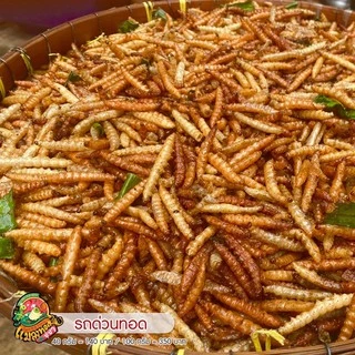 รถด่วนทอด หนอนไม้ไผ่ แมลงทอดซู่ซ่า