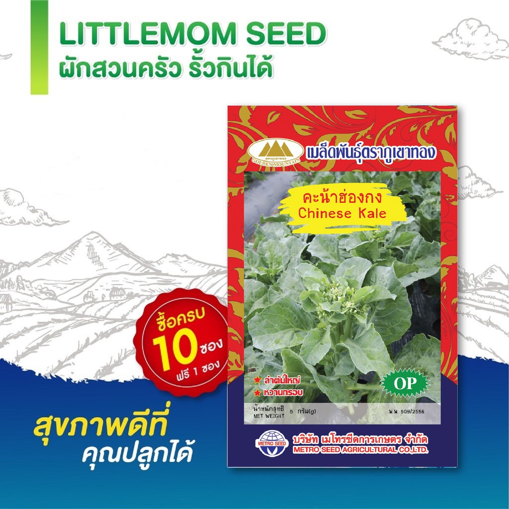 เมล็ดคะน้าฮ่องกง ภูเขาทอง 0.5 กรัม