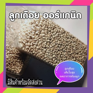 ลูกเดือย ลูกเดือยเกรด A Job’s tears organic ขนาด 500 กรัม สดใหม่จากไร่ถึงมือคุณ