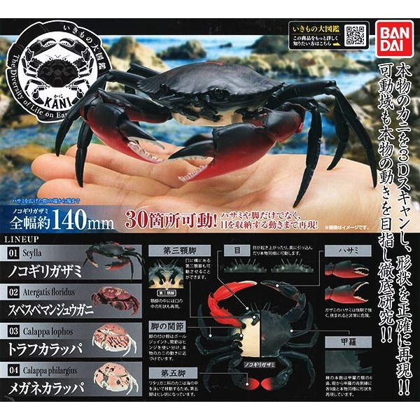 (เพิ่ม2แบบพร้อมส่ง) Gashapon กาชาปองปูยักษ์ Bandai Ikimono Encyclopedia Crab Vol.01 โมเดลสัตว์