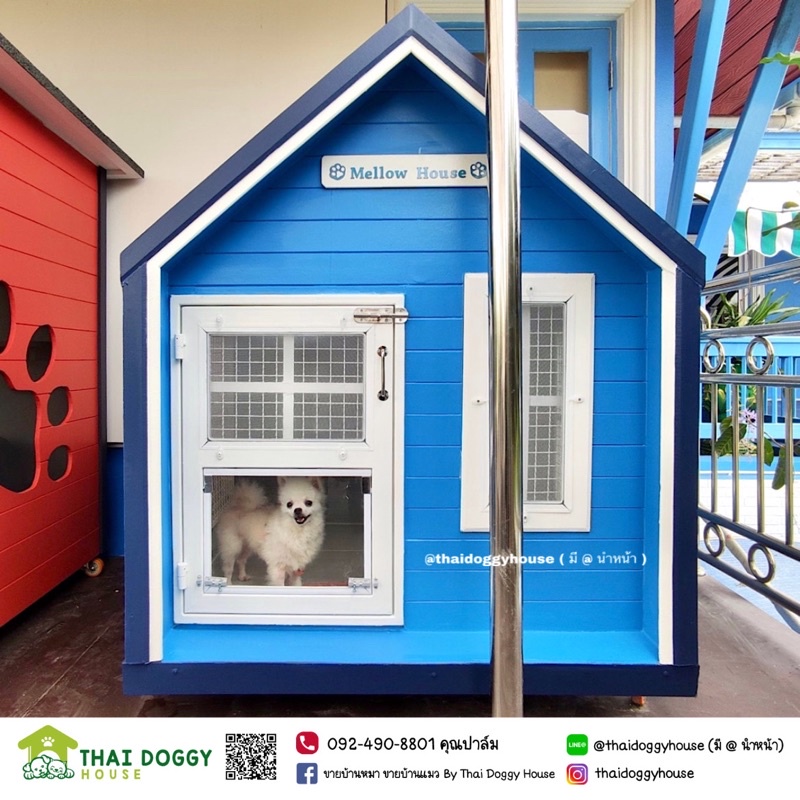 🏡บ้านหมา บ้านแมว Minimal หลังเล็กน่ารัก ราคาถูก