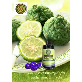 แชมพูมะกรูดอัญชัญ ลดผมหงอก ลดผมมัน ลดผมร่วง Isabella Nature Zen Kaffir Lime &amp; Butterfly Pea Natural Shampoo